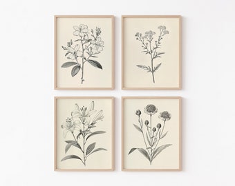 Vintage Lily Flower Print Set, Botanical Wall Art (Digital Download)