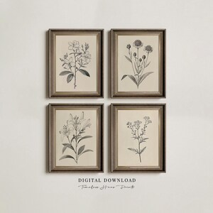 May include: Four framed botanical prints featuring detailed black and white illustrations of various flowers. The frames are a warm brown color, and the prints are set against a cream-colored background. The text "DIGITAL DOWNLOAD Timeless Home Prints" is at the bottom.