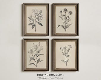 Set di stampe incise con fiori di giglio vintage, arte murale della galleria botanica (download digitale)