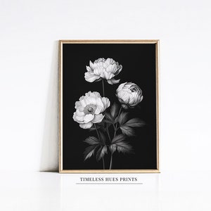 Black and White Botanical Sketch Art | Monochrome Art | Abstract Floral Print | Wall Decor Art | Minimalist Art | PRINTABLE Digital Download