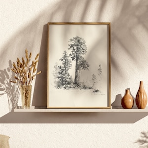 Op de afbeelding: Zwart-wit ingelijste print van een bos met hoge bomen. Het kunstwerk wordt tentoongesteld op een witte plank met decoratieve vazen en een vaas met gedroogde tarwe.