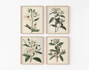 Vintage Botanical Prints Set, Neutral Floral Gallery Wall (PRINTABLE)