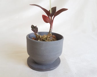 Mini pot géométrique