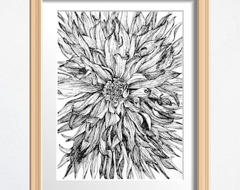 Dahlia Flower Art, Flower Lover Gift, Original Drawing Framed, Black and White Sketch 8 x 10 in Ink on Paper, Shelf Decor or Wall Art