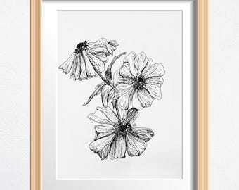 Anenome Flower Art, Flower Lover Gift, Original Drawing Framed, Black and White Sketch 8 x 10 in Ink on Paper, Shelf Decor or Wall Art