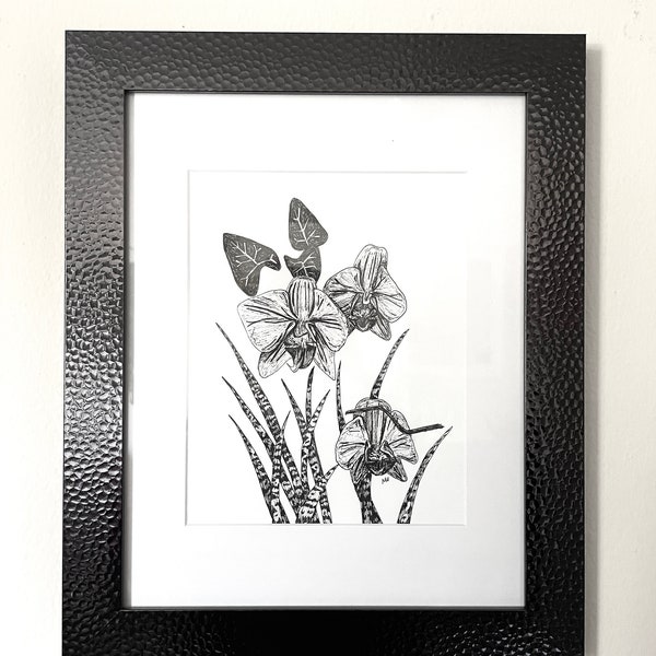 Orchid Flower Art Plant Lover Gift Original Drawing Black and White Sketch 8 x 10 in Ink on Paper Shelf Decor or Wall Art