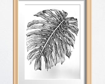 Fine Art Print, Plant Drawing, Monstera Drawing Print, Physical Print, Framed Wall Art, Houseplant Decor