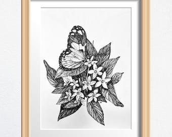 Butterfly on Flower Art, Flower Lover Gift, Original Drawing Framed, Black and White Sketch 8 x 10 in Ink on Paper, Shelf Decor or Wall Art