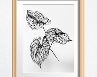 Flamingo Lily Flower Art, Flower Lover Gift, Original Drawing Framed, Black and White Sketch 8 x 10 in Ink on Paper, Shelf Decor or Wall Art