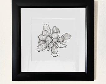 Succulent Art Plant LoverArt Original Artwork Matted Drawing Black and White, 8 x 10 in ink on paper, Hanging Gallery Wall or Shelf Decor