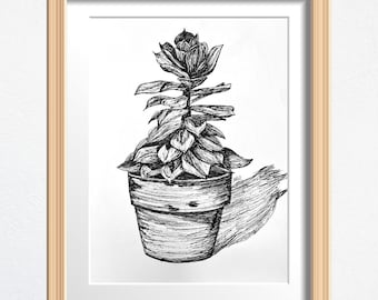 Potted Succulent Art, Plant Lover Gift, Original Drawing Framed, Black and White Sketch 8 x 10 in Ink on Paper, Shelf Decor or Wall Art