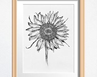 Fine Art Print, Flower Drawing, Sunflower Drawing Print, Physical Print, Framed Wall Art, Houseplant Decor