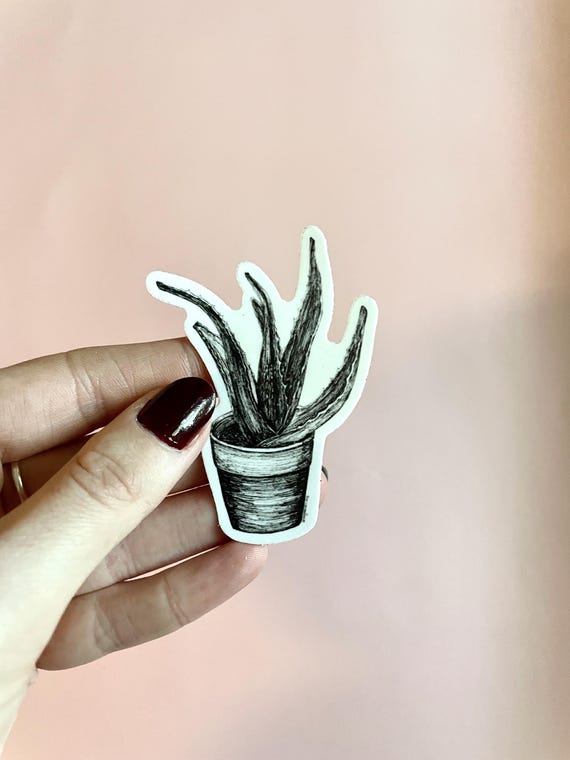 Potted Aloe Vera Plant Sticker