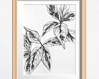 Plant Art, Plant Lover Gift, Original Drawing Framed, Black and White Sketch 8 x 10 in Ink on Paper, Shelf Decor or Wall Art