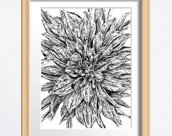 Dahlia Flower Art, Flower Lover Gift, Original Drawing Framed, Black and White Sketch 8 x 10 in Ink on Paper, Shelf Decor or Wall Art