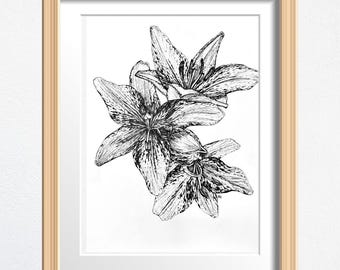 Fine Art Print, Flower Drawing, Lilies Drawing Print, Physical Print, Framed Wall Art, Houseplant Decor