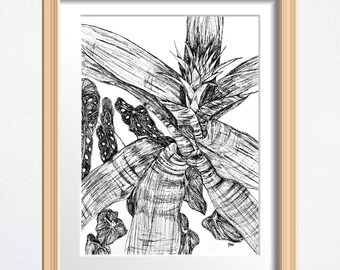 Plant Flower Art, Plant Lover Gift, Original Drawing Framed, Black and White Sketch 8 x 10 in Ink on Paper, Shelf Decor or Wall Art