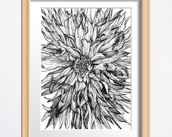 Fine Art Print, Flower Drawing, Dahlia Drawing Print, Physical Print, Framed Wall Art, Houseplant Decor