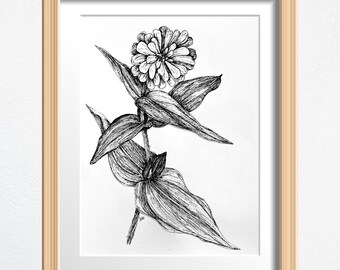 Flower Art, Flower Lover Gift, Original Drawing Framed, Black and White Sketch 8 x 10 in Ink on Paper, Shelf Decor or Wall Art
