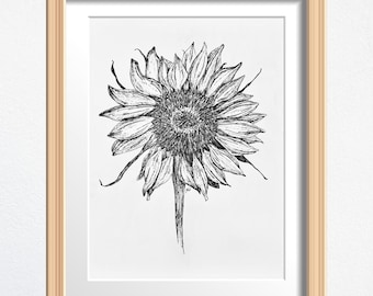 Sunflower Flower Art, Flower Lover Gift, Original Drawing Framed, Black and White Sketch 8 x 10 in Ink on Paper, Shelf Decor or Wall Art