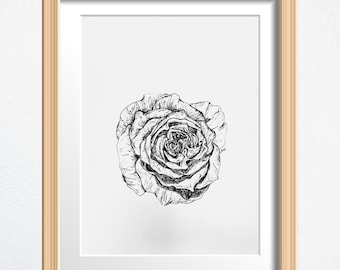Rose Flower Art, Flower Lover Gift, Original Drawing Framed, Black and White Sketch 8 x 10 in Ink on Paper, Shelf Decor or Wall Art