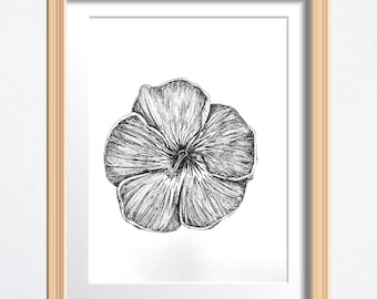 Hibiscus Flower Art, Flower Lover Gift, Original Drawing Framed, Black and White Sketch 8 x 10 in Ink on Paper, Shelf Decor or Wall Art