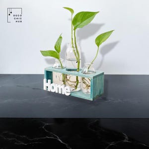 Moderne Holzvase, Hydrokultur-Vase, Wohnzimmer-Blumenarrangement, dekorative Knospe-Vase, kreativer Mehrzweck-Boho-Blumentopf