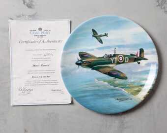 Coalport Collectors Plate Dawn Patrol From the Reach for the