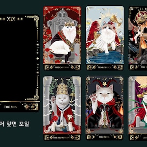 Muse Cat 2025 Tarotkarten (echtes koreanisches Produkt) Bild 18