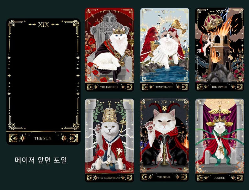 Muse Cat 2025 Tarotkarten (echtes koreanisches Produkt) Bild 18