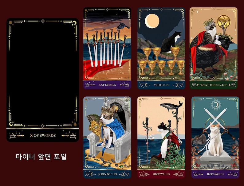 Muse Cat 2025 Tarotkarten (echtes koreanisches Produkt) Bild 19
