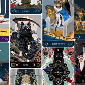 Muse Cat 2025 Tarotkarten (echtes koreanisches Produkt) Bild 15