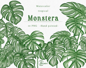 Watercolor monstera leaves clipart PNG, monstera wedding, wildflower clipart, tropical monstera, Botanical Clipart, tropical leaves