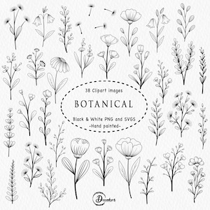 Clipart de arte lineal botánico, paquete de imágenes PNG y SVG florales dibujadas a mano, ilustraciones de contornos de flores, imágenes prediseñadas de plantas en blanco y negro, logotipos y pegatinas.