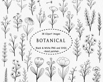 Clipart de arte lineal botánico, paquete de imágenes PNG y SVG florales dibujadas a mano, ilustraciones de contornos de flores, imágenes prediseñadas de plantas en blanco y negro, logotipos y pegatinas.