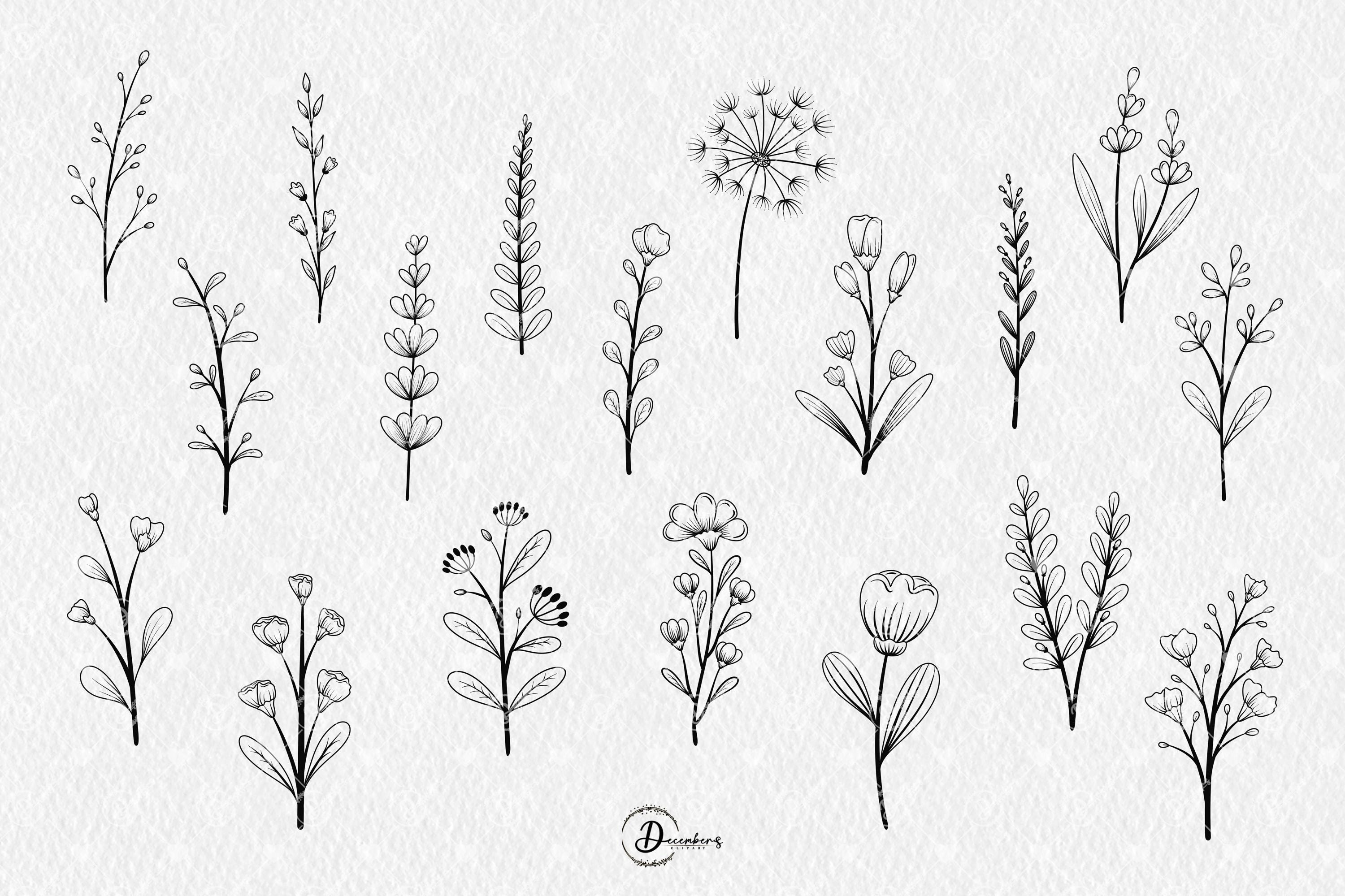 Simple Botanical Botanical Line Art Clipart, Hand Drawn Floral PNG SVG Bundle, Flower ...