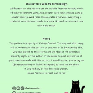 Pode incluir: Um gr&aacute;fico verde claro com texto sobre um padr&atilde;o de croch&ecirc; usando a terminologia dos EUA, incluindo notas sobre t&eacute;cnicas e direitos autorais. Uma silhueta de gato preto est&aacute; ao lado de uma bola de fio rosa.