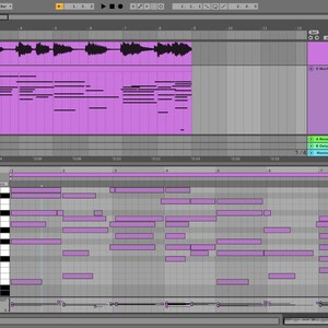 May include: A computer screen displaying a digital audio workstation (DAW) interface. The interface shows waveforms, MIDI notes, and various controls for music production. The color scheme is primarily gray and purple.