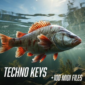 Puede incluir: Imagen digital de un pez nadando bajo el agua. El pez tiene un cuerpo plateado con marcas y aletas rojas y marrones. El texto "TECHNO KEYS +100 MIDI FILES" está en la parte inferior de la imagen.