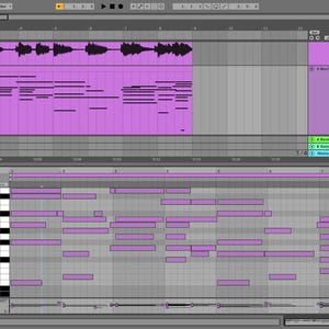May include: A screenshot of a digital audio workstation (DAW) with a purple and gray interface. The DAW is showing a MIDI track with a piano roll and a waveform track with an audio clip. The track is labeled "MIDI Chords".