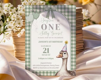 Può includere: Un invito di compleanno con un design stravagante. L'invito presenta il testo "Jayson is ONE Silly Goose!" e include un'illustrazione ad acquerello di un'oca con un cappello da festa. Lo sfondo ha un motivo a quadri verdi.