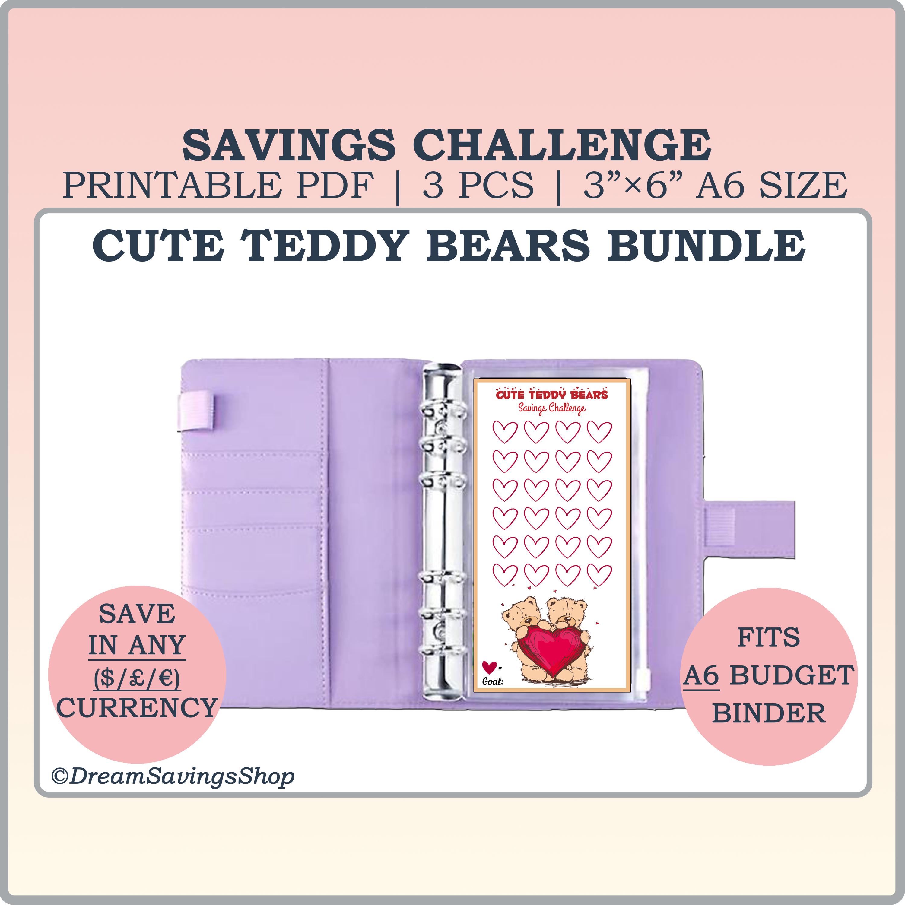 Cute Teddy Bear Bundle, Money Saving Challenge, Valentines Day