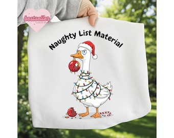 Funny Christmas Goose Png, Preppy Christmas Png, Cute Snowman Goose, Santa Goose Png, Christmas Png, Funny Silly Goose Christmas Sublimation
