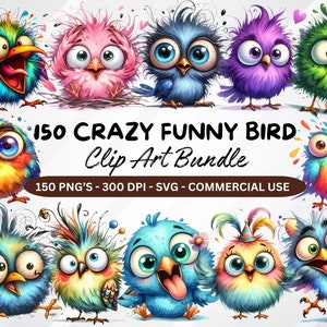 150 Imágenes Prediseñadas de pájaros divertidos PNG, ilustraciones de pájaros extravagantes pájaros caprichosos, clip art de pájaros locos, lindo pájaro png caras de pájaros de dibujos animados, pájaro divertido