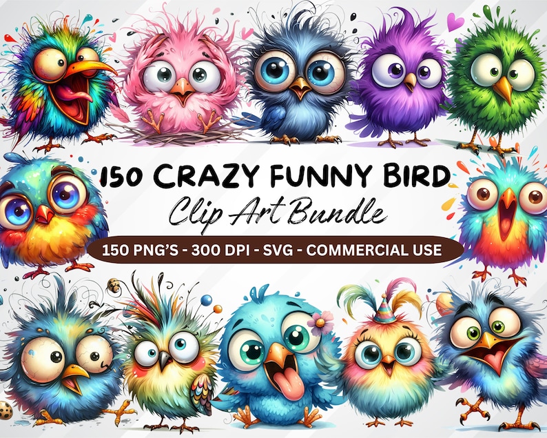 Puede incluir: Un paquete digital de im&aacute;genes predise&ntilde;adas de 150 p&aacute;jaros coloridos de estilo de dibujos animados con expresiones locas. Los p&aacute;jaros est&aacute;n en varias poses y tienen diferentes caracter&iacute;sticas, como plumas, picos y ojos. El texto "150 CRAZY FUNNY BIRD Clip Art Bundle" se muestra en el centro de la imagen. El texto "150 PNG'S - 300 DPI - SVG - COMMERCIAL USE" se muestra debajo del t&iacute;tulo.