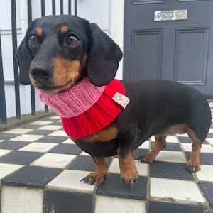 Handmade Ribbed Dog Snood