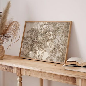 18th Century Tree Study Print | Pen & Ink Brush Drawing | Traditional Vintage Branch Wall Art | Sepia Brown Chalk Sketch | Farmhouse Artwork