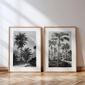 Set of 2 Tropical Palm Tree Etching Prints | Two Lush Landscape Posters | Vintage Black & White Botanical Wall Art | Jungle Home Decor B718