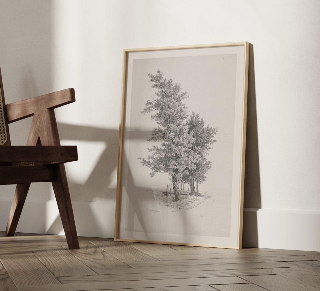 Italian Tree Graphics Antique Italian Tree Drawing Print | Vintage Sketch Studies | Landscape ...