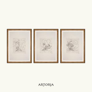 Lot de 3 impressions de croquis de fleurs minimales | Trois affiches dessinées au crayon | Art mural étude botanique vintage | Décoration d'intérieur simple et élégante